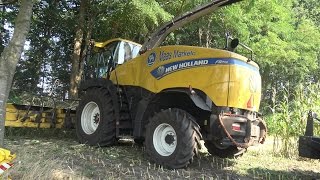 Mais hakselen door Maas Markelo met New Holland FR700 en 2 Fendt 826 Vario's (2016)