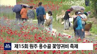 2022. 05. 25 [원주MBC] 제15회 원주 용수골 꽃양귀비 축제 개최