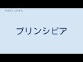 水陸機動団戦闘上陸大隊