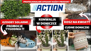 ACTION ❤️SOLARNE OZDOBY OGRODOWE😍DUŻO NOWOŚCI DO DOMU😱😱@actionlove-pl