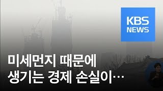 “지난해 미세먼지로 경제 손실 4조 원 추정” / KBS뉴스(News)