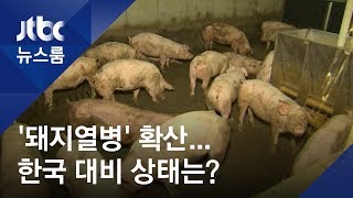 비상 걸린 돼지농가…잔반사료·야생멧돼지엔 '무방비'