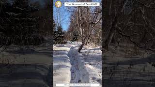 ScienceMan Moment of Zen 0472 #peaceful #winter #nature #trailrunning #forest #trees #asmr