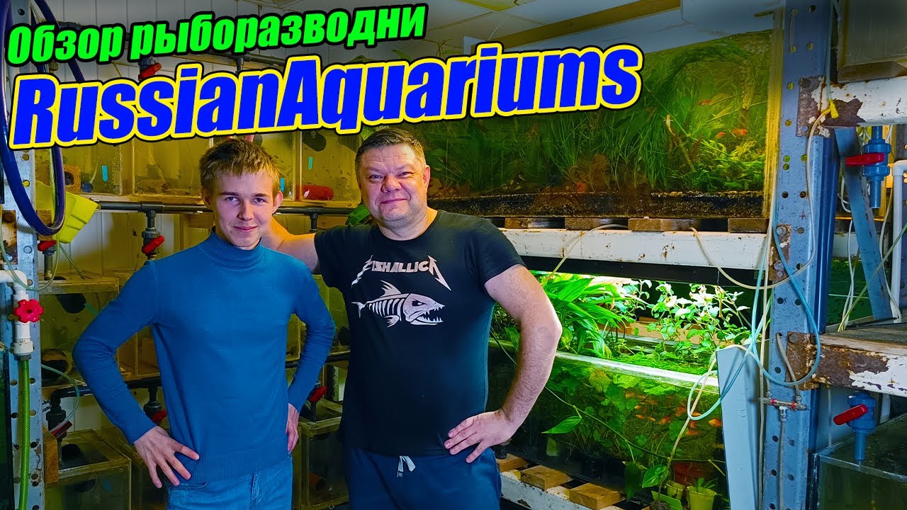 В гостях у Русских Аквариумов [Russian Aquariums] - YouTube