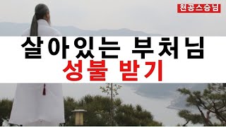 [천공스승님 정법강의] 살아서 걸어다니는 부처님 - 성불(成佛)