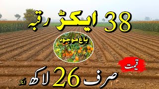 Land for sale in Punjab Pakistan | Agriculture Zameen for sale in pakistan | Raqba | Ep 80