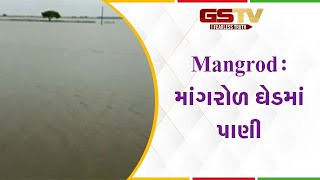 Mangrod : માંગરોળ ઘેડમાં પાણી| Gstv Gujarati News