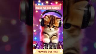 I Trained a Kitten to be a DJ and Here's What Happened #shorts