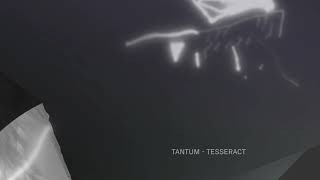 Tantum - Tesseract