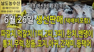 6월 26일(판매 생선), 파갈치, 먹갈치(1띠,2띠,3띠), 손질먹갈치, 한치, 밴댕이, 병어, 우럭, 통치, 아귀, 간재미,(목포 남도농수산 탁선장 010 3167 7150)