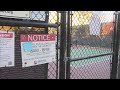 Denver Parks & Rec meets with community over outdoor pickleball court closing at Eisenhower Park