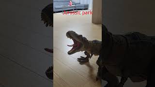 t-rex 해먼드 컬렉션