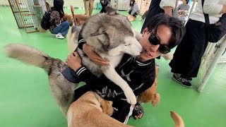 【日本最大級】犬のテーマパークで豪遊してみた