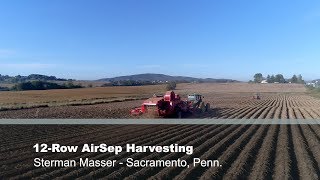 Sterman Masser - 12-Row AirSep Harvesting