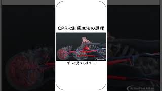 CPR心肺蘇生法の原理　#shorts