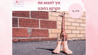 פודקאסט בסיס האם 14- איך למצוא את הקרקע בתוכנו