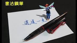 一生逍遙 書法鋼筆版(獨步逍遙片尾曲)