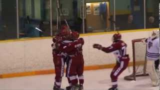 #17  Goal 20130227 Toronto Young Nationals 1995 Midget \