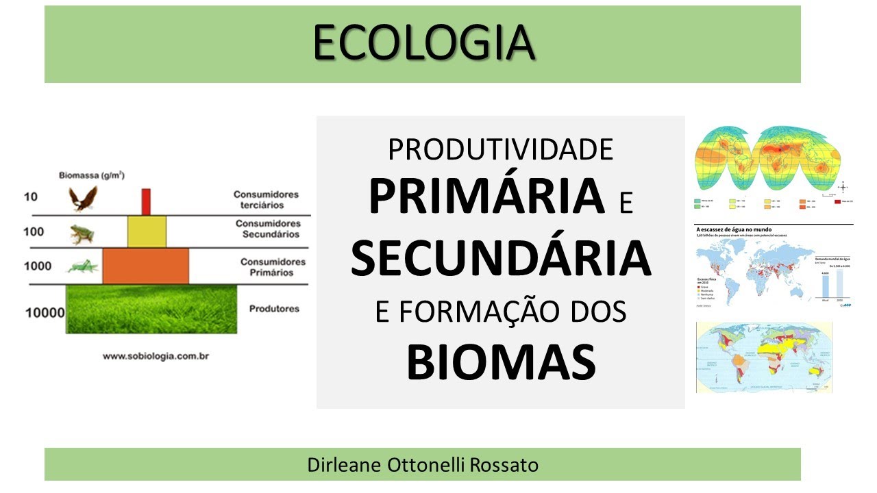 Produtividade Primária Em Sistemas Ecológicos - YouTube