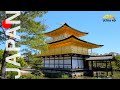 Kyoto Walking Tour [4K] 🇯🇵 Golden Pavilion 