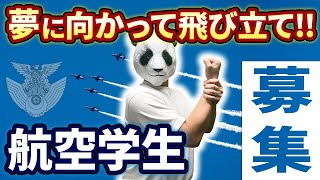 夢に向かって飛び立て!!航空学生