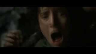Frodo Nooo (Longer)