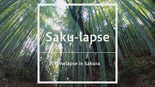 Saku-lapse　～ひよどり坂・侍の杜～