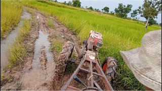 កសិករបើកគោយន្តជាប់ភក់ | Farmers Drive Kubota in Mud