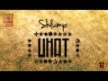 Shlump - What - [Otodayo Records]