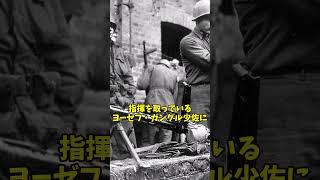 アメリカとナチスの共闘「イッター城の戦い」について解説 #shots #歴史