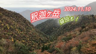 釈迦ヶ岳2024.11.10【鈴鹿セブンマウンテン】