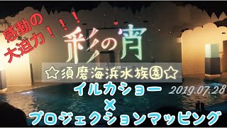 大迫力‼︎‼︎ 須磨海浜水族園　イルカショー×プロジェクションマッピング 彩の宵