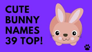 🐰 Bunny Names - 39 CUTE & BEST Names Female & Male | Names