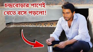 অনেকগুলো ঘর পেরিয়ে শোবার ঘরে ঢুকলো বিশাল চন্দ্রবোড়া! Massive Size Snake Rescue #russellviper