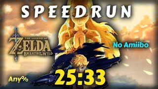 I finished Zelda BotW in 25 minutes 33 seconds! [Speedrun Zelda BotW Any% NA]