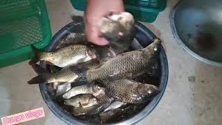 Fresh fish | daming huli | CARP