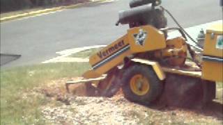 My Stump Removal by Binghamton Land Design.wlmp.wmv