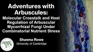 Adventures with Arbuscular Mycorrhizal Fungi: Host regulation under combinatorial nutrient stress