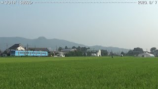 近江鉄道：長谷野－大学前（’20.8/5）　　　　　　　　　　　　　　　　　巛巛