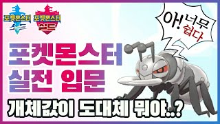 포켓몬스터 실전 입문! 너무 쉽다! [포켓몬스터 소드 실드]