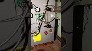 Peerless Steam Boiler Annual Service