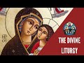 SPSD Sunday Divine Liturgy - 8/11/2024