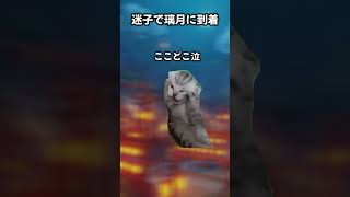 【原神】初心者のころのワイを流行りの猫ミームで #shorts #原神 #genshinimpact #あるある #初心者 #memes #starrail #バズれ #cat #catmemes