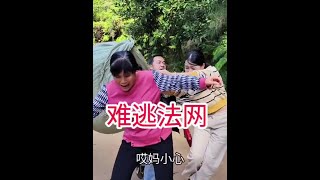 法网恢恢疏而不漏，再狡猾的狐狸也难逃网 #社会百态 #乡村故事