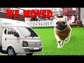 Doggos Move To A New Home | Funny Reaction And House Tour