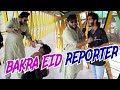 | BAKRA EID REPORTER | By Nadir Ali | P4 Pakao | 2024