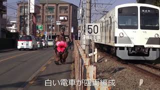 ダイラゴンの小平さんぽ～青梅街道駅編～