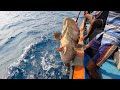 GROUPER FISH, KING FISH & HORSE MACKEREL FISH CAUGHT IN SEA