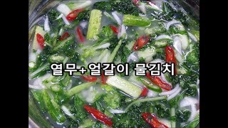 열무+얼갈이 물김치 / 깔끔하고 시원한 맛~ 열무 물김치 / Young radish watery plain kimchi