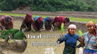 The best Ropai in Nepal with singing local Asare song II Ropai at Ghiring Rural Municipality II